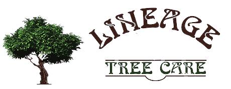 Lineage Tree Care LLC