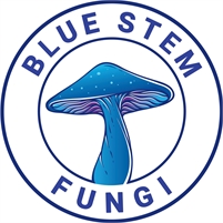 Blue Stem Fungi  Blue Stem Fungi