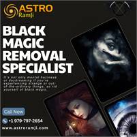  Astrologer Ram Tulasi  in Plano & Frisco