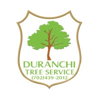 Duranchi tree service Ignacio  Chavez